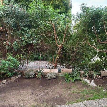 Appartamento Con Giardino A 50 M Dal Mare LʼÎle-Rousse Buitenkant foto