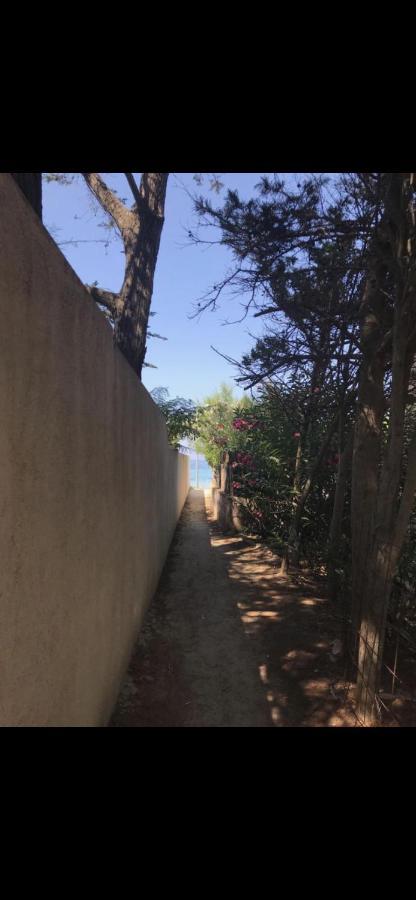 Appartamento Con Giardino A 50 M Dal Mare LʼÎle-Rousse Buitenkant foto