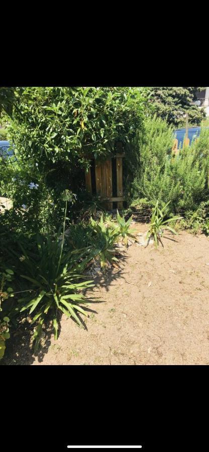 Appartamento Con Giardino A 50 M Dal Mare LʼÎle-Rousse Buitenkant foto