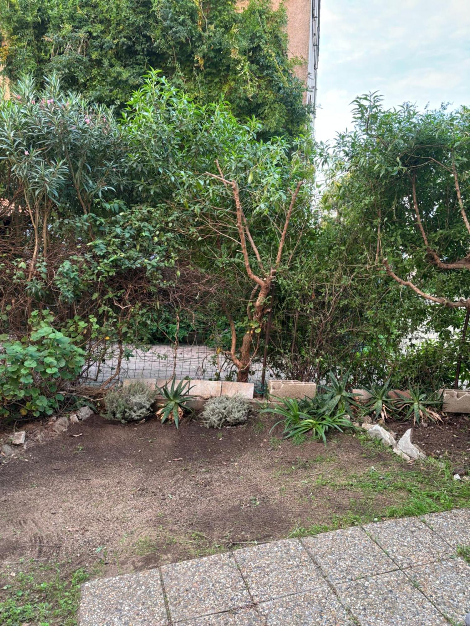 Appartamento Con Giardino A 50 M Dal Mare LʼÎle-Rousse Buitenkant foto